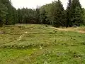 Archeologické naleziště Pfaffenschlag