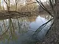 Slepé rameno Odry - jižní část