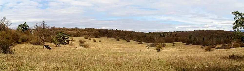 Mozaika luk a lesů na planině