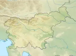 Lublaňské bažiny