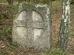 Smírčí_kámen_u_Bednářova_lesa(Štěpánovice).JPG