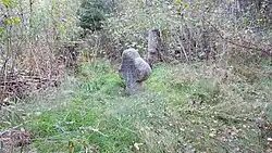Smírčí kříž severně Kojšovic (Q37424047) 01.jpg