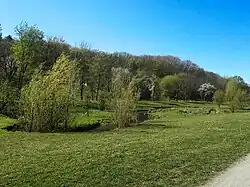 Vrchol Smetanky od severovýchodu (pohled přes meandry Rokytky)