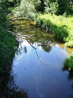 řeka u Pasmilgysu