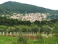 Pohled na Smokvici
