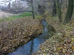 Smolnický potok mezi Brlohem a Chlumčany