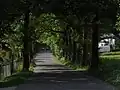 alej v severní části vsi