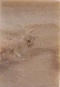 sněžníkovský mramor