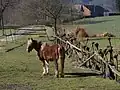 pastvina poblíž čp. 3