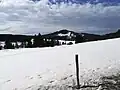 Antýgl (v zimě)