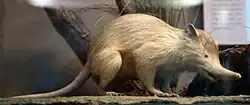 alternativní popis obrázku chybí
