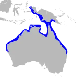 Mapa Austrálie a Nové Guineje s modře vyznačeným areálem rozšíření