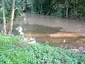 Soutok s Mastníkem v Sedlčanech