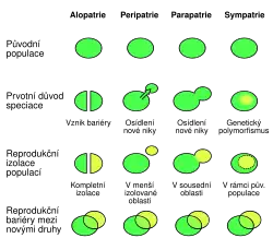 Schema alopatrie, peripatrie, parapatrie a sympatrie
