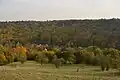 Spodní louka