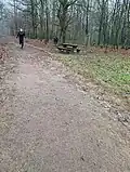 Běžecký okruh v lese