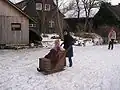 Sáňky ve Spreewaldu