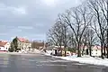 V zimě
