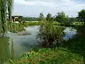 Rybník