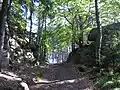Středověká horní Panská cesta, prokopaná skrz skalní hradbu