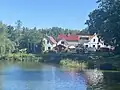 Staňkovský rybník, pohled na břeh u Rezaté pily směrem ke kempu U Kosů