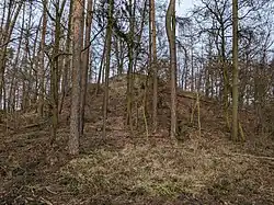 celkový pohled na lokalitu