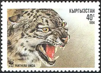 Kyrgyzstán