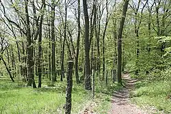Staňkovka