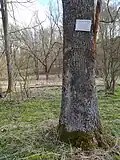 Pamětní deska připomínající německého rodáka Rudolfa Loserta