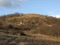 Špice