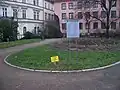 Pohled na květinový záhon