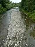 Řeka Morávka