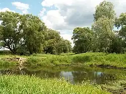 Kaleńsko