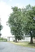 Alej k Babí hoře