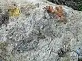 Průřez místními horninami s různobarevnými brekciemi