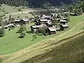 Steihanus