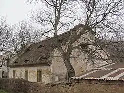 Stekník 27.JPG