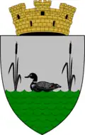 Fălești – znak