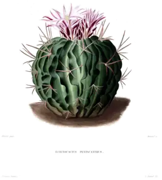 alternativní popis obrázku chybí