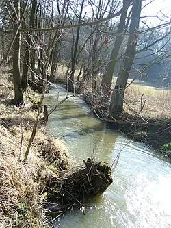 Štěpánovský potok