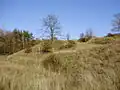 Pohled směrem k Mechovkovému útesu