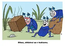 Chrobáci