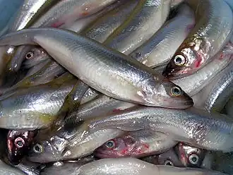 alternativní popis obrázku chybí