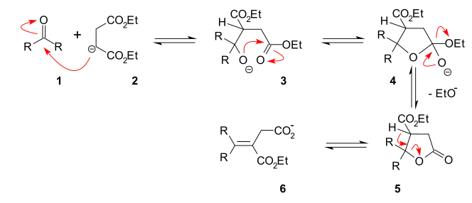 Stobbe condensation mechanism