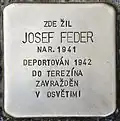 Josef Feder, vnuk