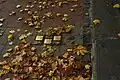 Stolpersteine v Banské Bystrici