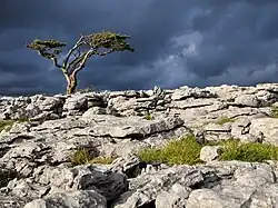 Bouřkové mraky nad Twisleton Scar End