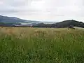 Přírodní památka Stráň