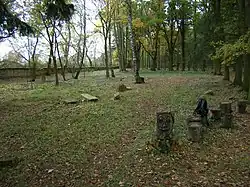 ŽH Stráž