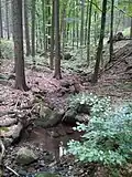 Strážný potok poblíž státní hranice